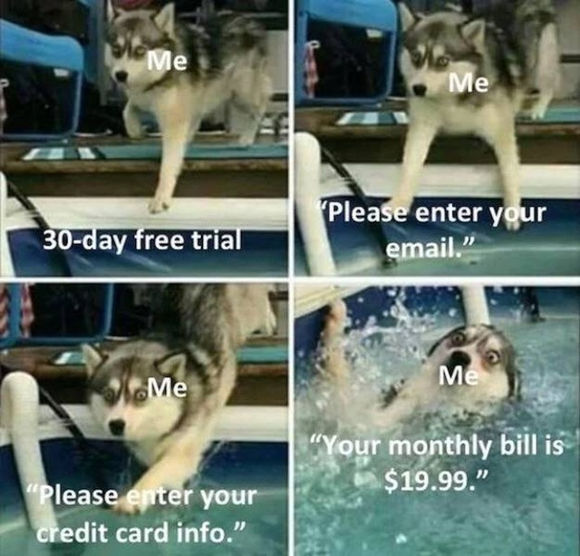 So True (56 pics)