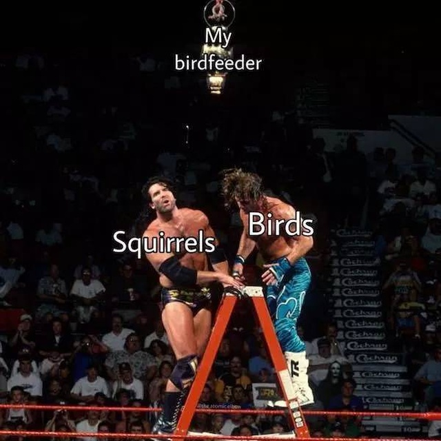 So True (56 pics)