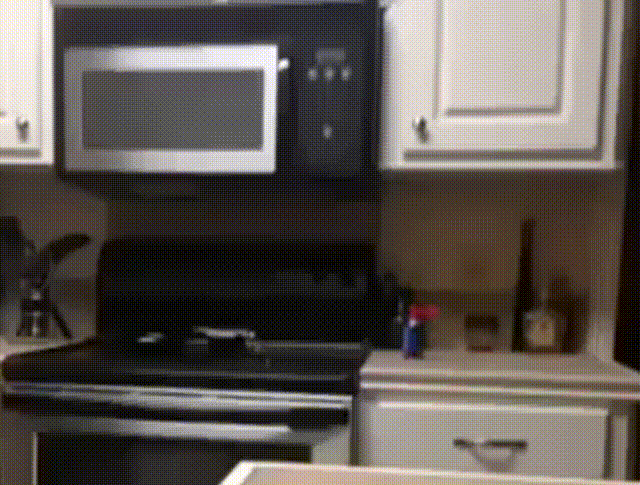 Acid Gifdump, February 19 (25 gifs)