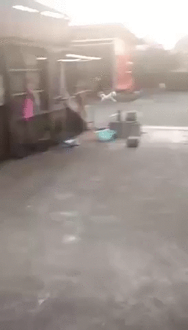Acid Gifdump, February 19 (25 gifs)