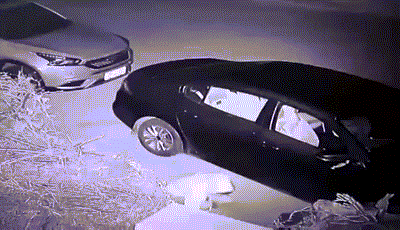 Acid Gifdump, February 19 (25 gifs)