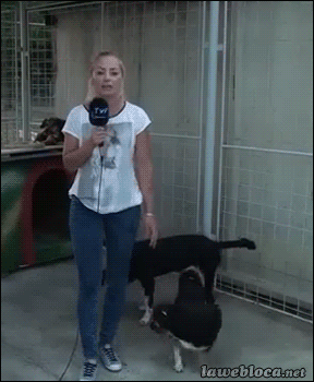 Acid Gifdump, February 19 (25 gifs)