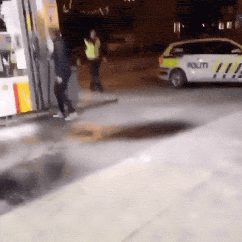 Police And Instant Carma (17 gifs)