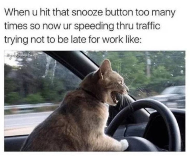 Procrastination Memes (29 pics)