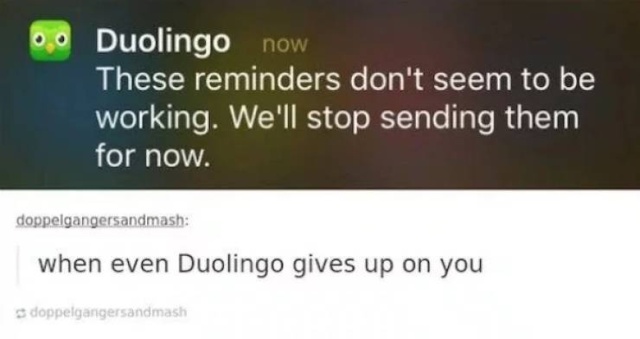 Procrastination Memes (29 pics)
