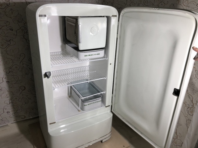 Refrigerator Restoration (13 pics)