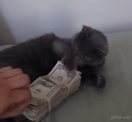 cats_money_25.gif