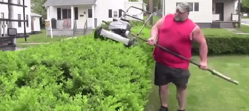 Acid Gifdump, February 20 (25 gifs)