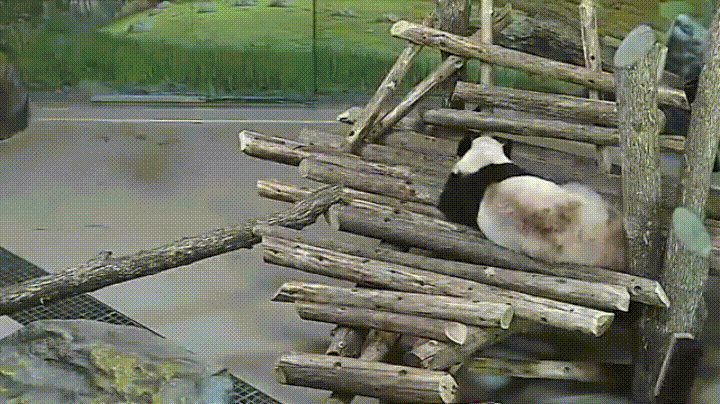 Acid Gifdump, February 20 (25 gifs)