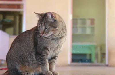 Acid Gifdump, February 20 (25 gifs)