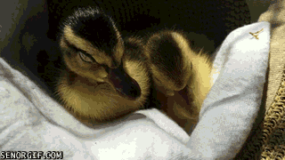 Acid Gifdump, February 20 (25 gifs)