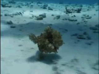 Acid Gifdump, February 20 (25 gifs)