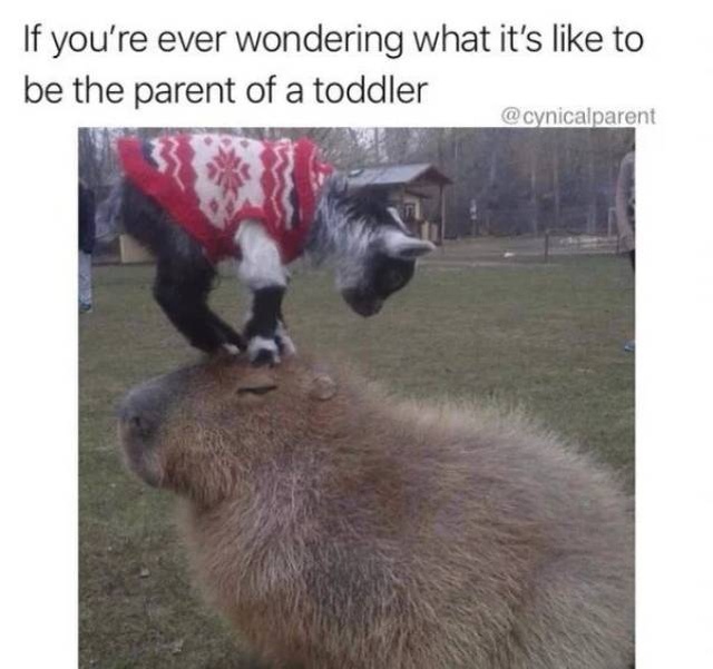 Parent Life Is A Turbulent One (23 pics)