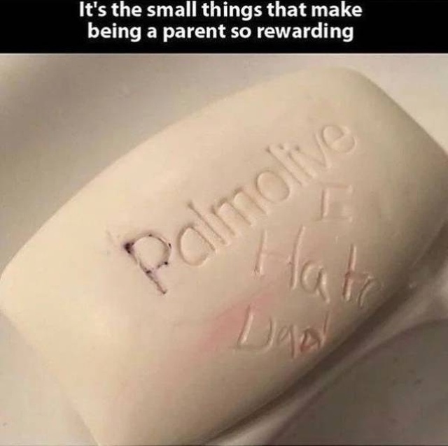 Parent Life Is A Turbulent One (23 pics)