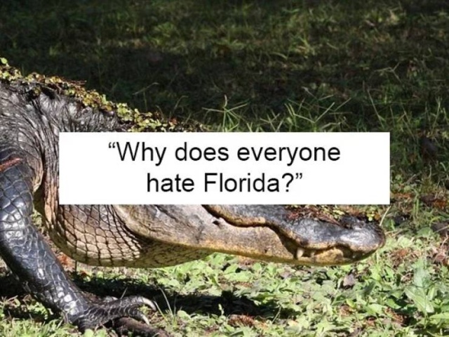 Why People Google This? (19 pics)