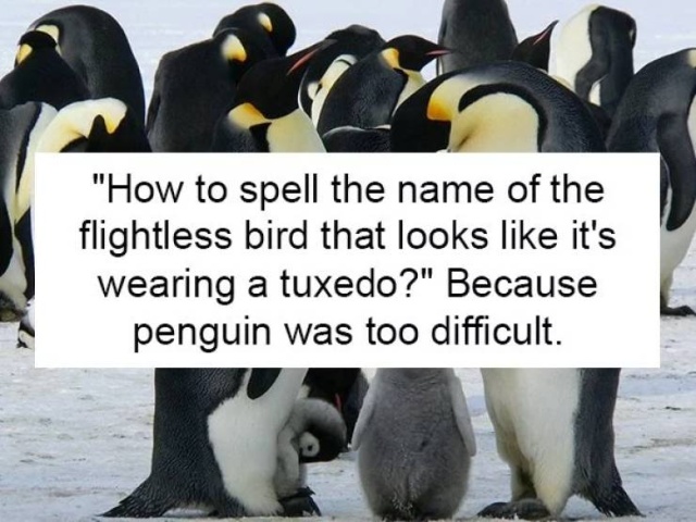 Why People Google This? (19 pics)
