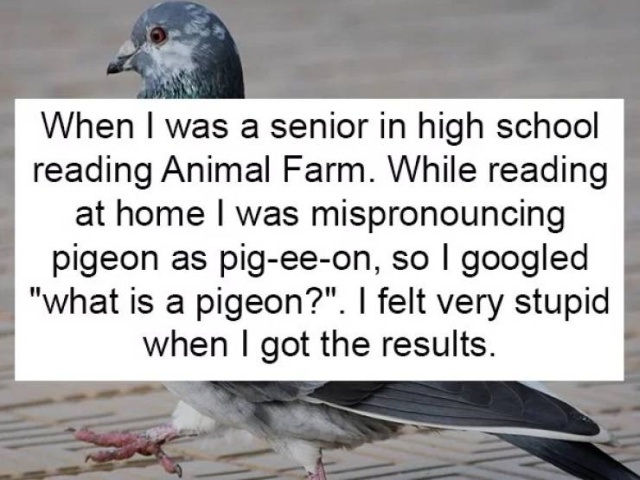 Why People Google This? (19 pics)