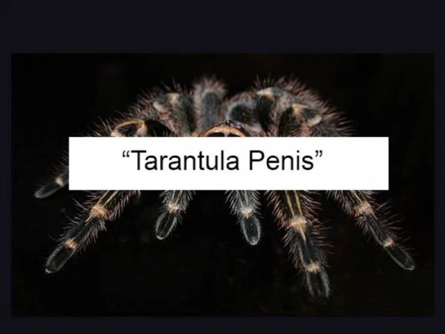Why People Google This? (19 pics)