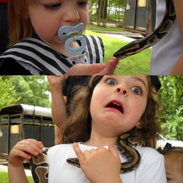 Acid Picdump (101 pics)