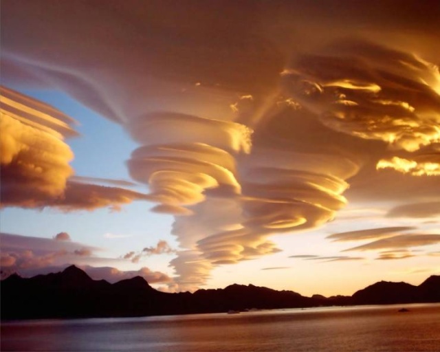 Acid Picdump (101 pics)