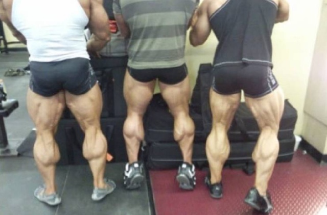 Acid Picdump (101 pics)