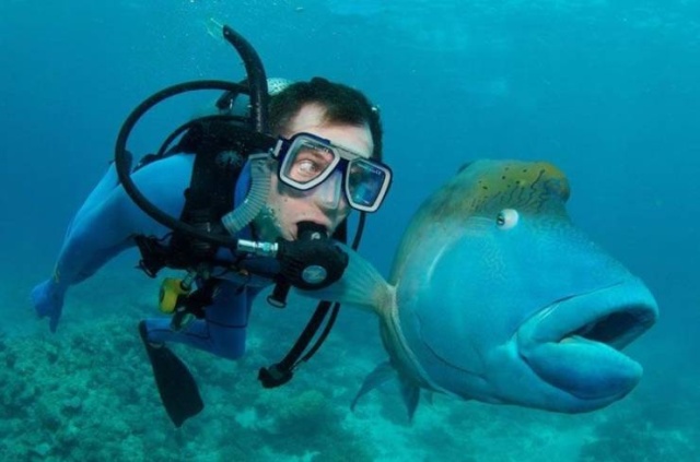 Acid Picdump (101 pics)