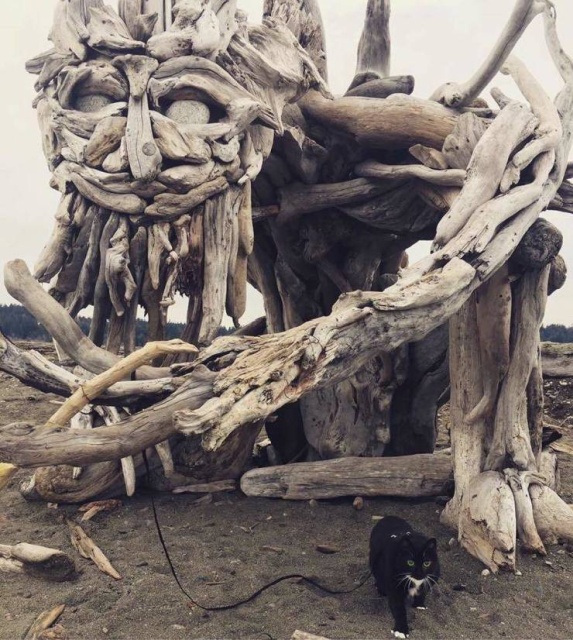 Acid Picdump (101 pics)