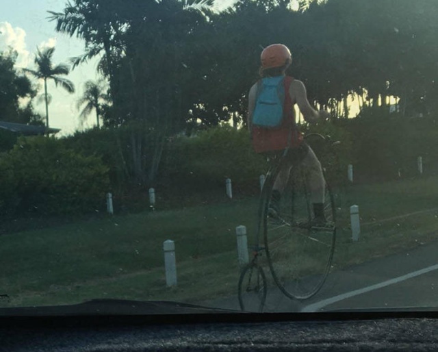 Acid Picdump (101 pics)