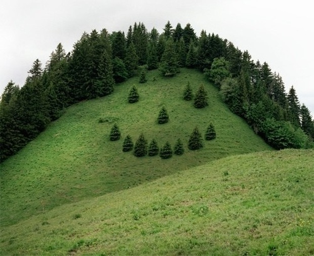Acid Picdump (101 pics)