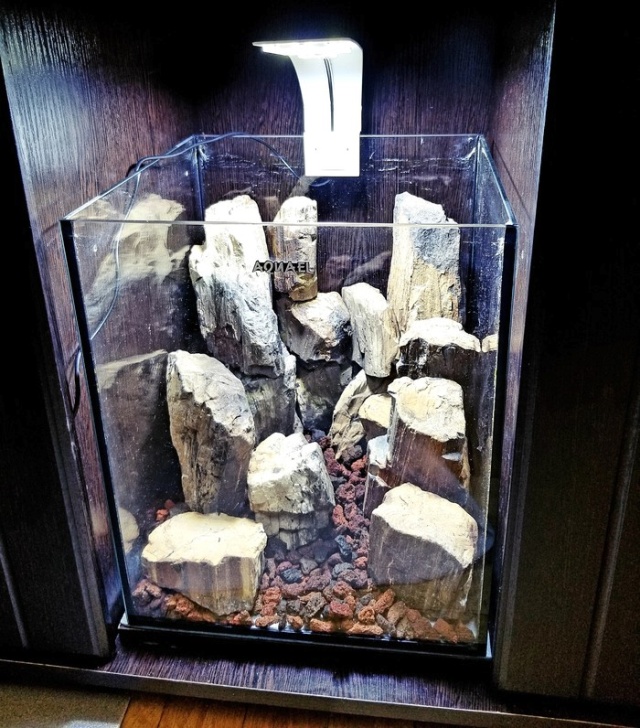 Making A Nice Aquarium (9 pics)
