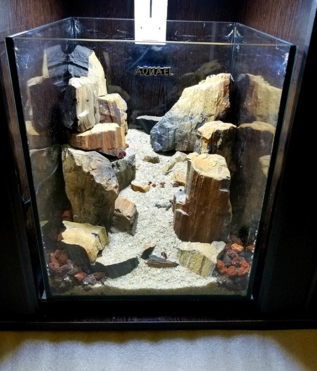 Making A Nice Aquarium (9 pics)