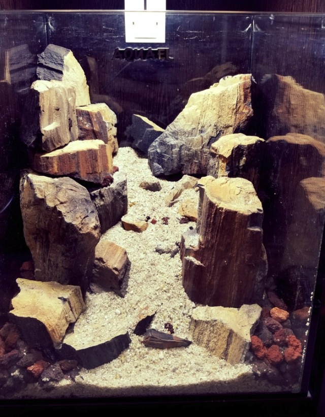 Making A Nice Aquarium (9 pics)