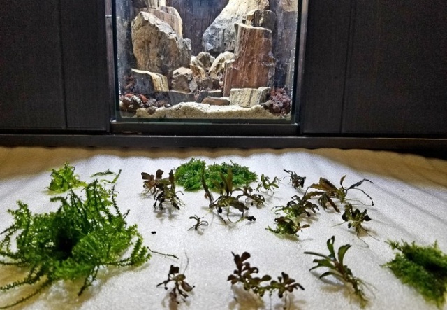 Making A Nice Aquarium (9 pics)
