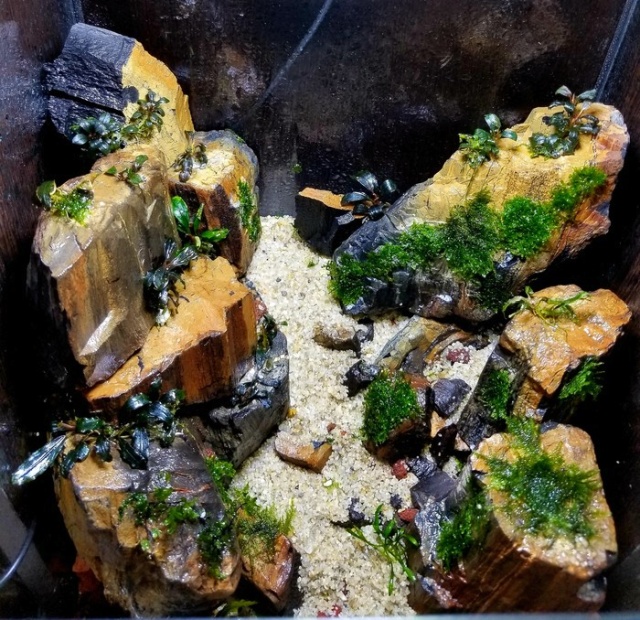 Making A Nice Aquarium (9 pics)
