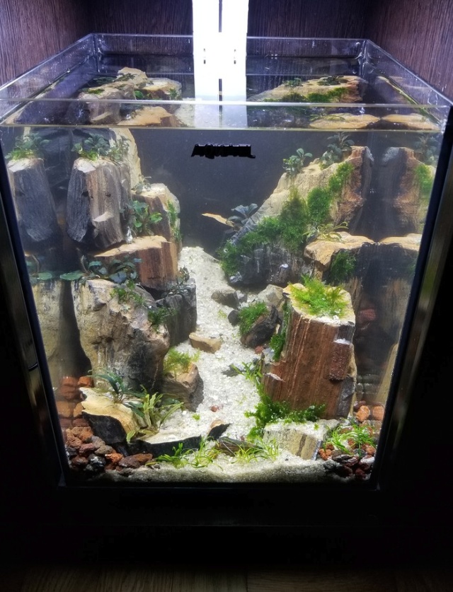Making A Nice Aquarium (9 pics)