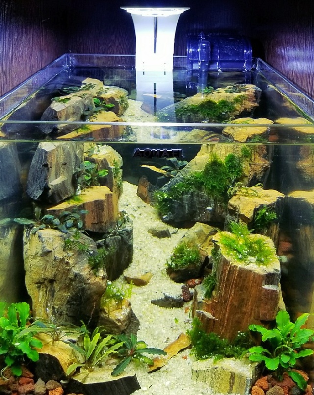 Making A Nice Aquarium (9 pics)