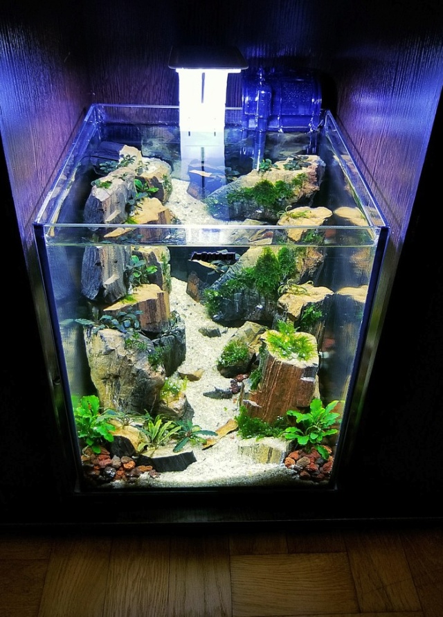 Making A Nice Aquarium (9 pics)