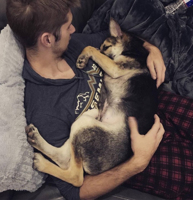 Stray Dog Before And After The Adoption (24 pics)