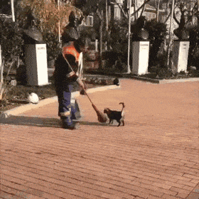 Acid Gifdump, February 21 (25 gifs)