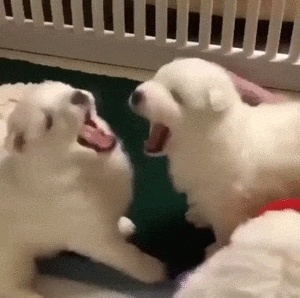 Acid Gifdump, February 21 (25 gifs)