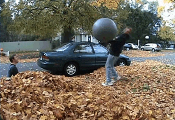 Did You See it Coming? (17 gifs)