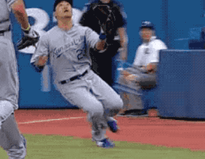 Did You See it Coming? (17 gifs)