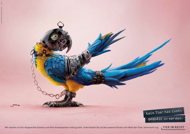 No Animal Wants To Be Tortured. Ad Campaign Against Animal Abuse (4 pics)