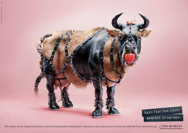 No Animal Wants To Be Tortured. Ad Campaign Against Animal Abuse (4 pics)