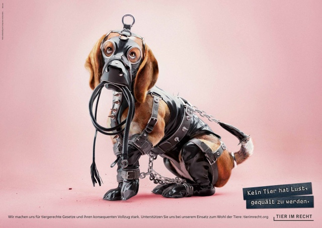 No Animal Wants To Be Tortured. Ad Campaign Against Animal Abuse (4 pics)