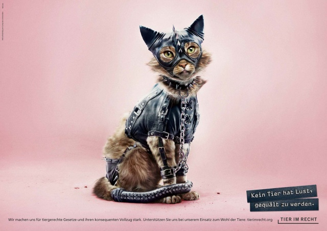 No Animal Wants To Be Tortured. Ad Campaign Against Animal Abuse (4 pics)