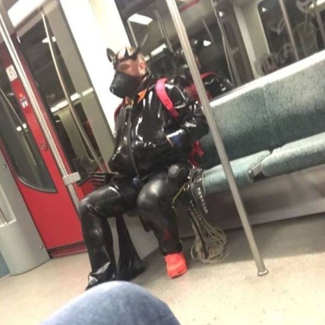 WTF Photos (48 pics)