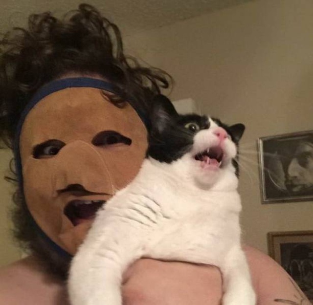 WTF Photos (48 pics)