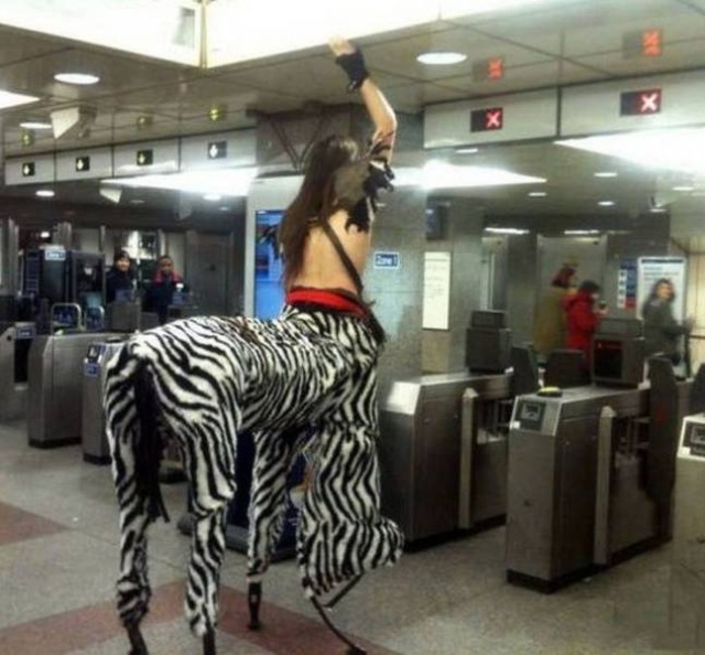 WTF Photos (48 pics)