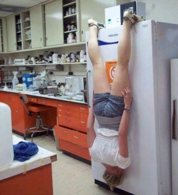 WTF Photos (48 pics)